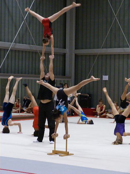 gymnasten